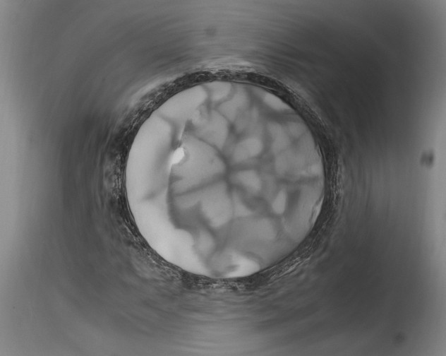 X0000114701063200911181311