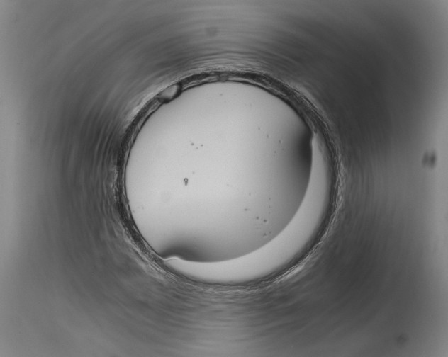 X0000114701065200911181311