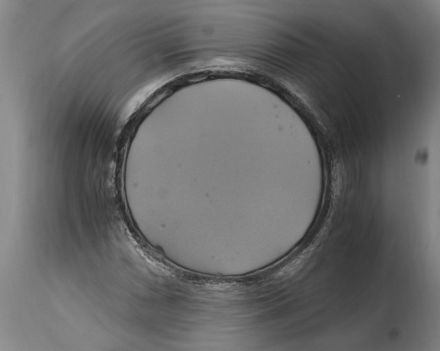 X0000114701066200911181311