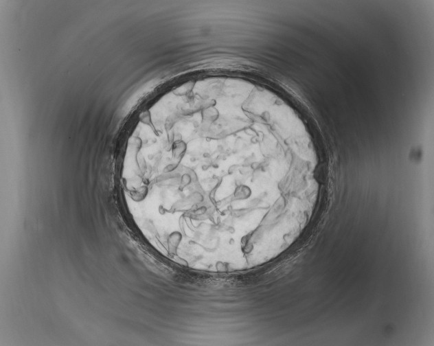 X0000114701067200911181311