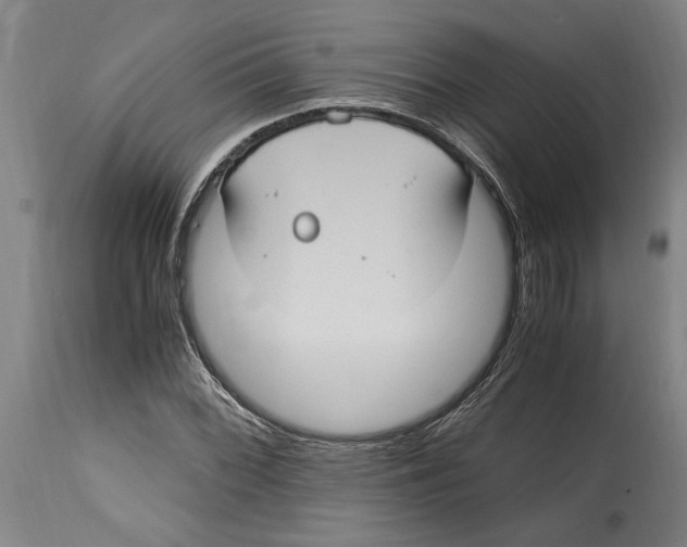 X0000114701068200911181311