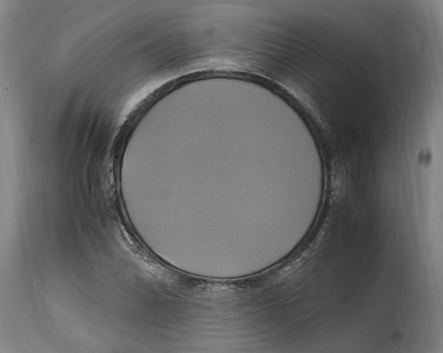 X0000114701070200911181311