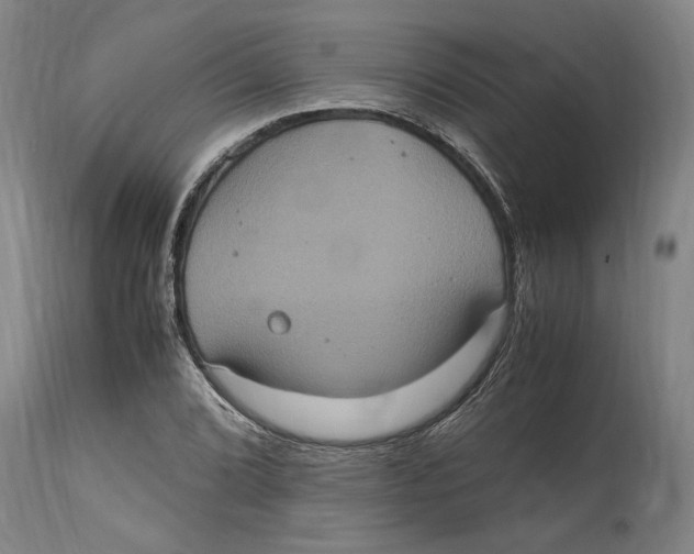 X0000114701072200911181311