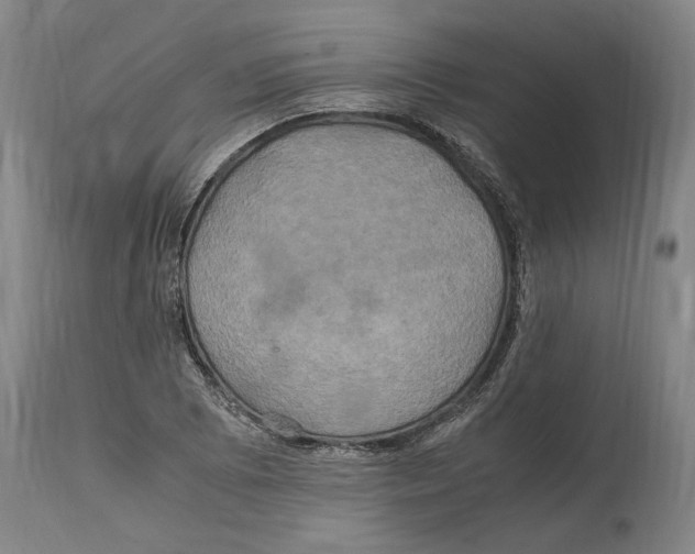 X0000114701073200911181311