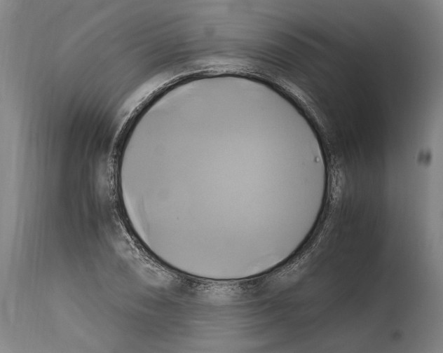 X0000114701074200911181311