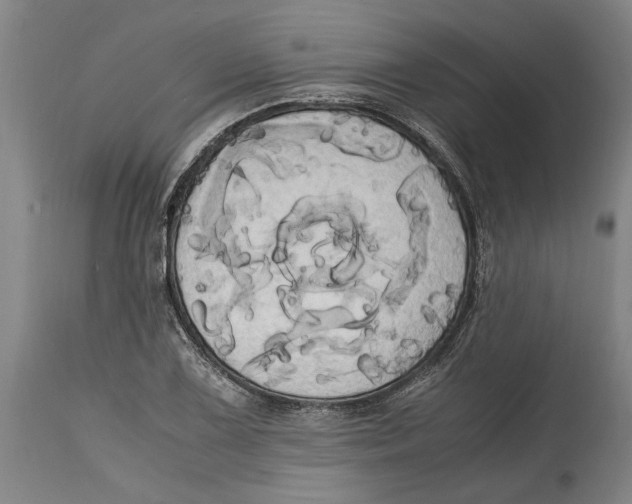 X0000114701075200911181311