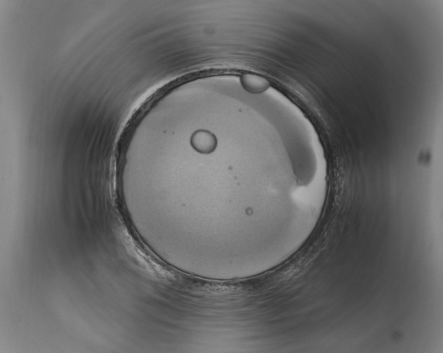 X0000114701076200911181311