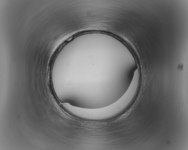 X0000114701077200911181311