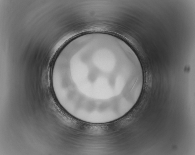 X0000114701078200911181311