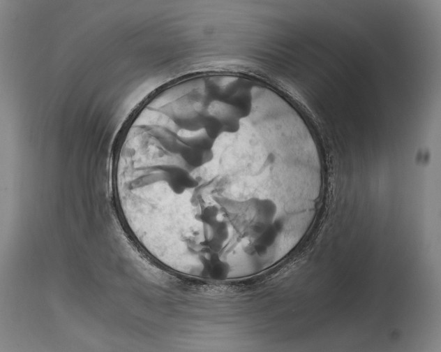 X0000114701079200911181311