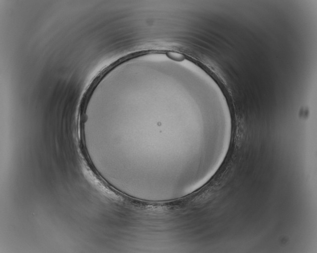 X0000114701080200911181311