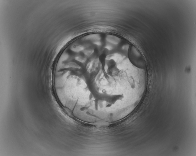 X0000114701083200911181311