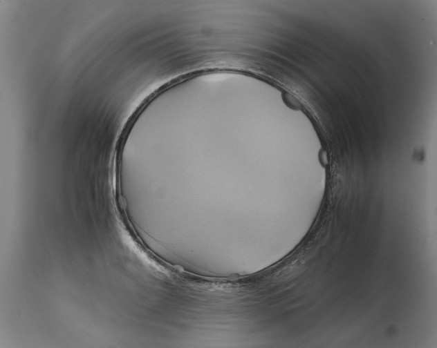 X0000114701084200911181311