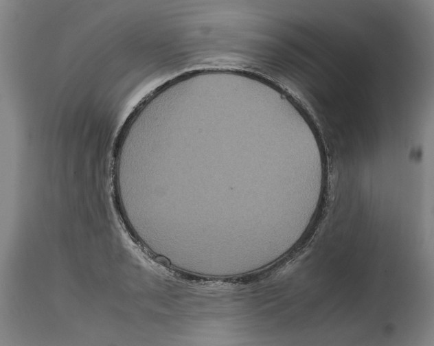 X0000114701085200911181311