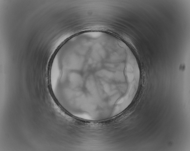 X0000114701087200911181311