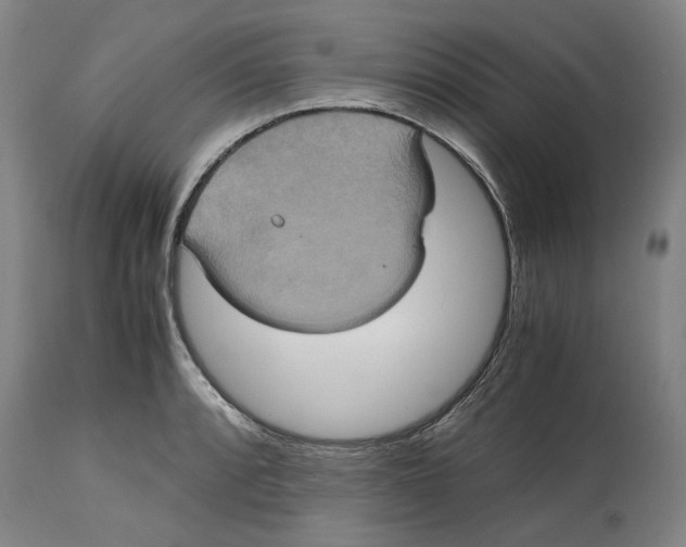 X0000114701088200911181311