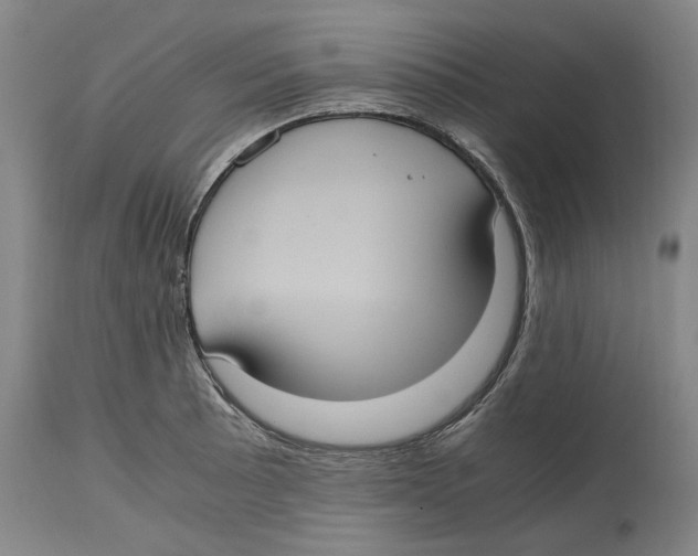 X0000114701089200911181311