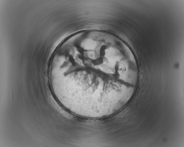 X0000114701091200911181311