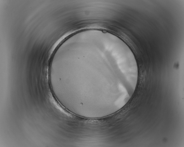 X0000114701092200911181311