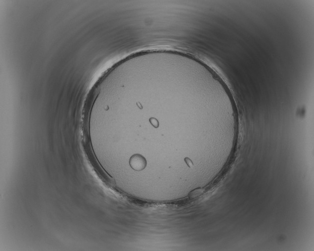 X0000114701093200911181311