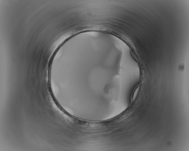 X0000114701095200911181311