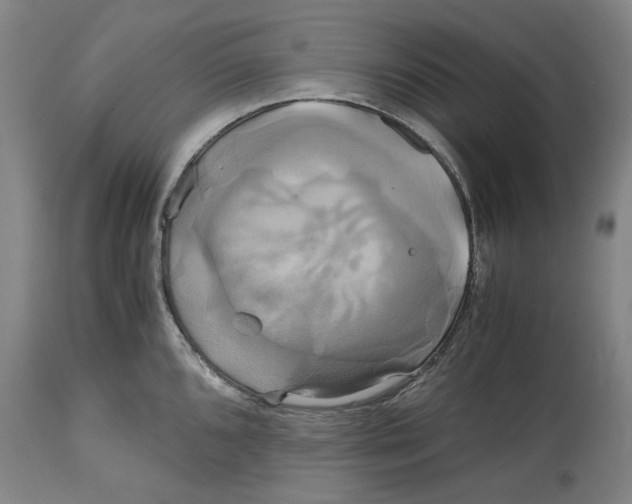 X0000114701096200911181311