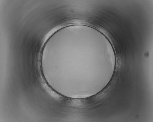 X0000114701098200911181311