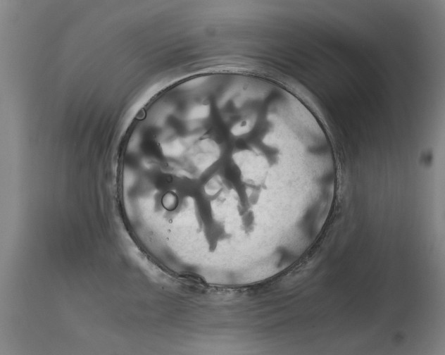 X0000114701099200911181311