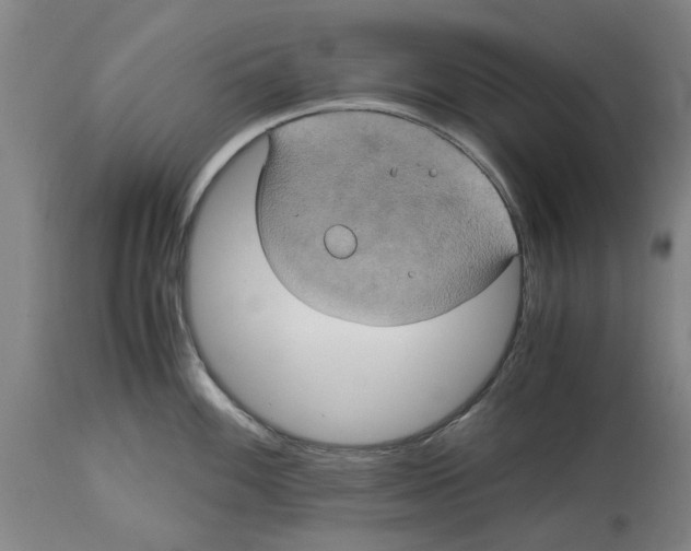 X0000114701100200911181311