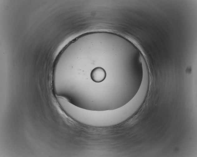 X0000114701101200911181311