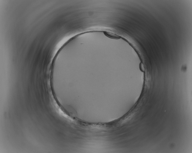 X0000114701102200911181311