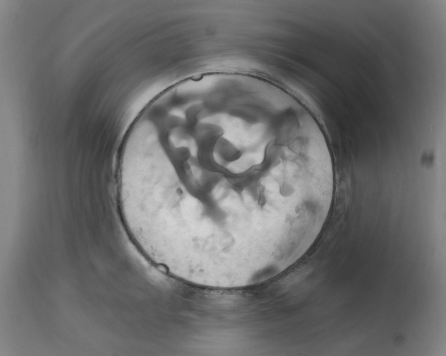 X0000114701103200911181311