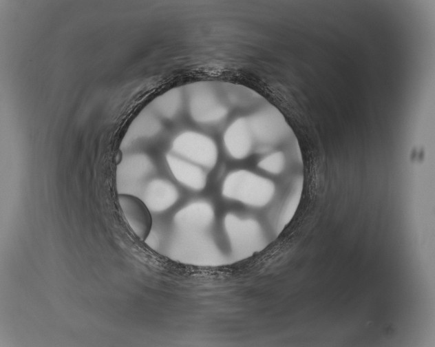 X0000114701105200911181310