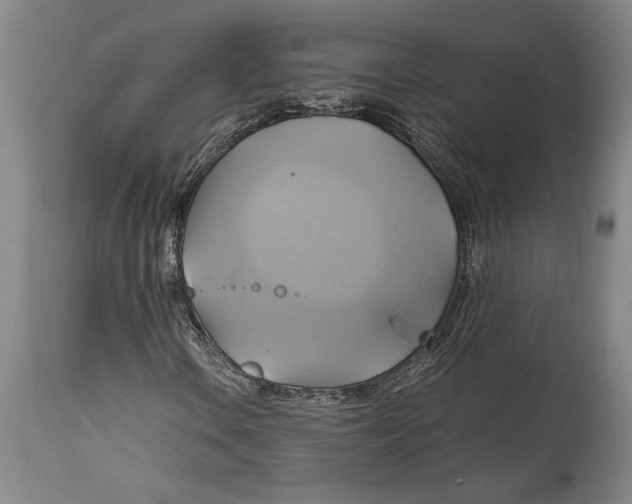 X0000114701106200911181310