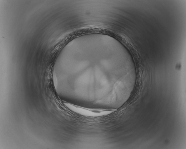 X0000114701110200911181310