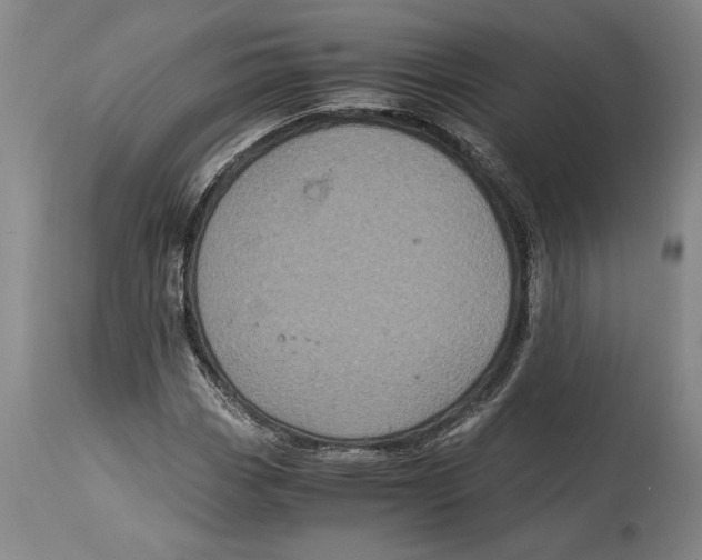 X0000114701113200911181310