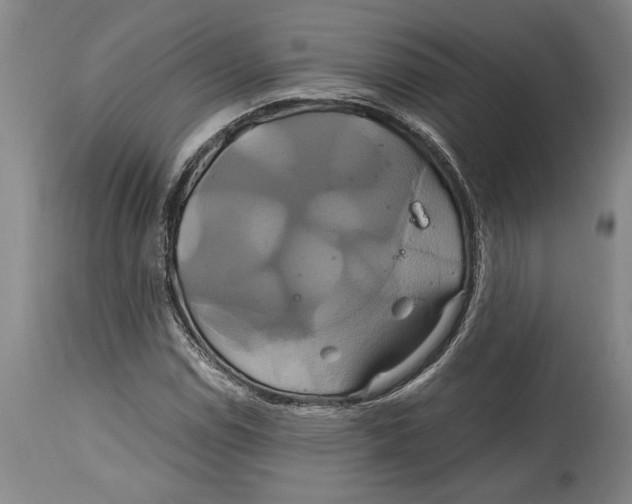 X0000114701114200911181310