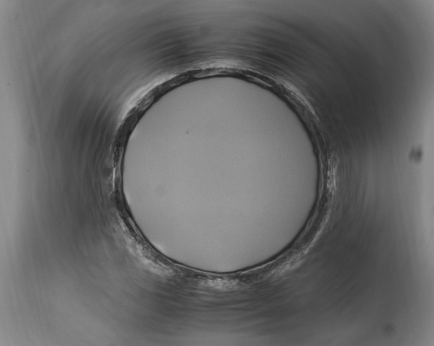 X0000114701117200911181310