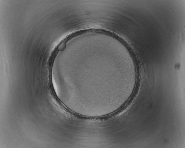 X0000114701118200911181310