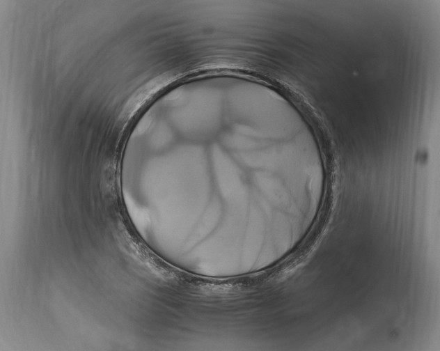 X0000114701121200911181310