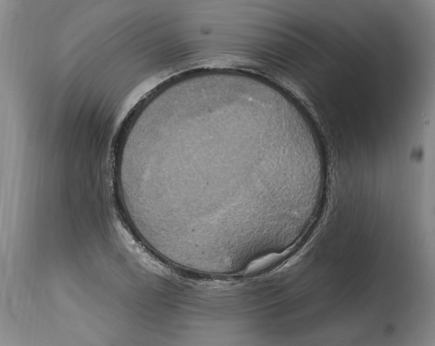 X0000114701122200911181310