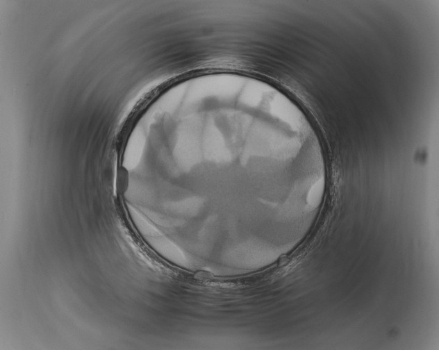 X0000114701123200911181310