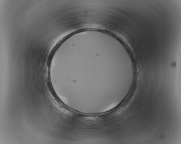 X0000114701125200911181310