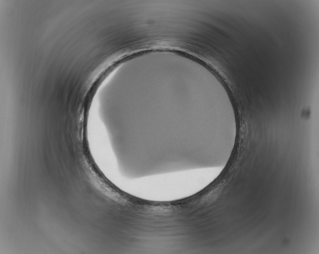 X0000114701126200911181310