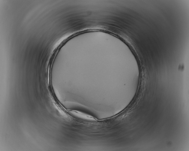 X0000114701127200911181310