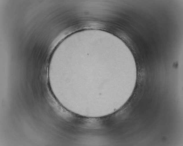 X0000114701130200911181310