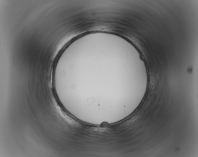 X0000114701131200911181310