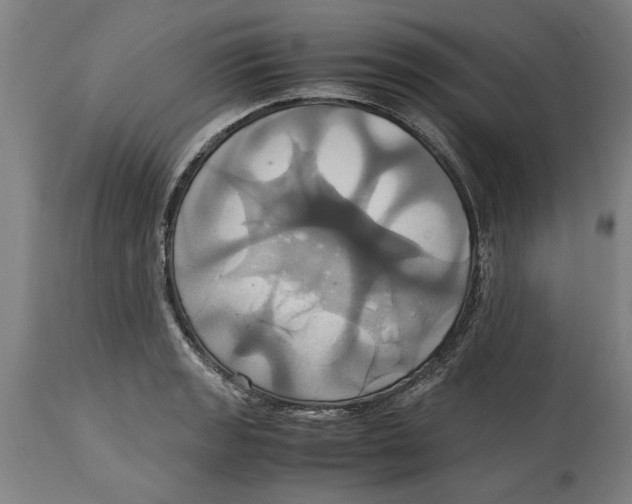 X0000114701133200911181310