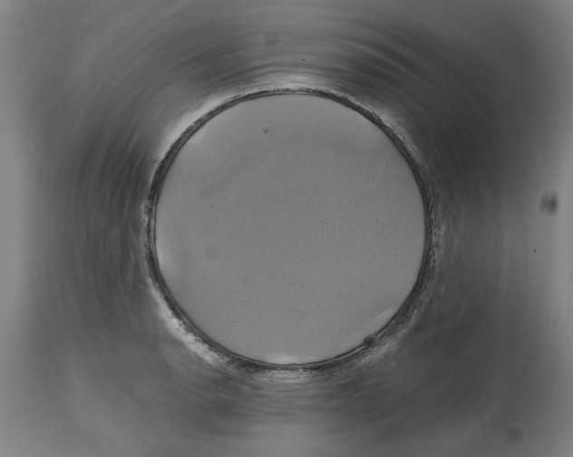 X0000114701134200911181310