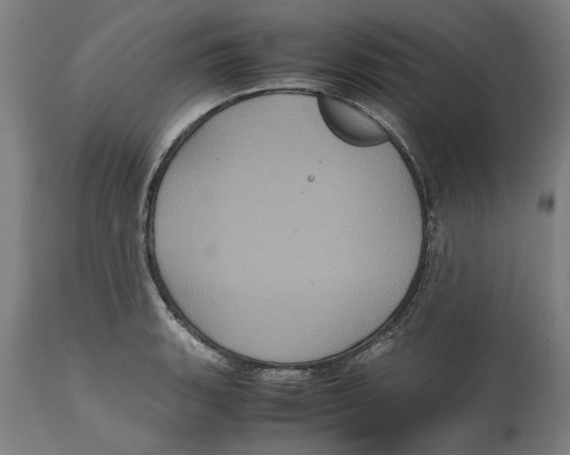 X0000114701135200911181310